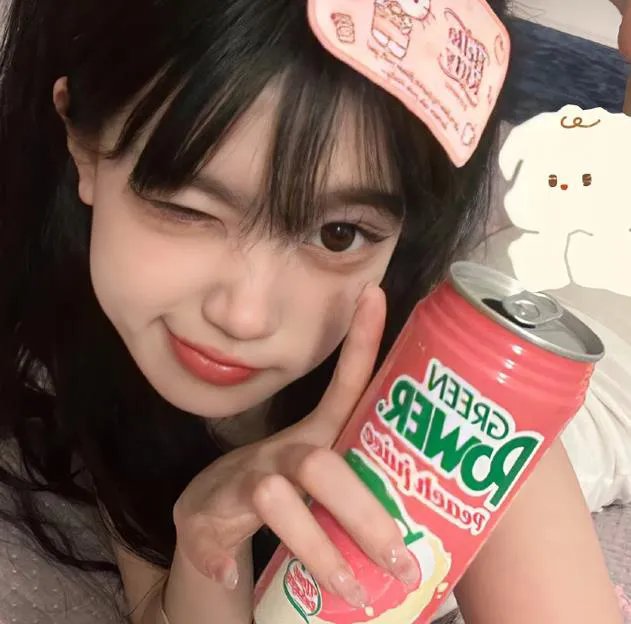 大盗贺钦布龙兹